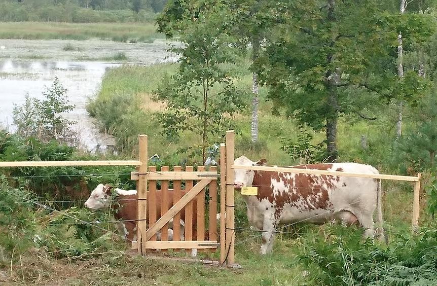 78f07e21-b142-41dc-a778-e88bbeae1d0c-e1471249237737