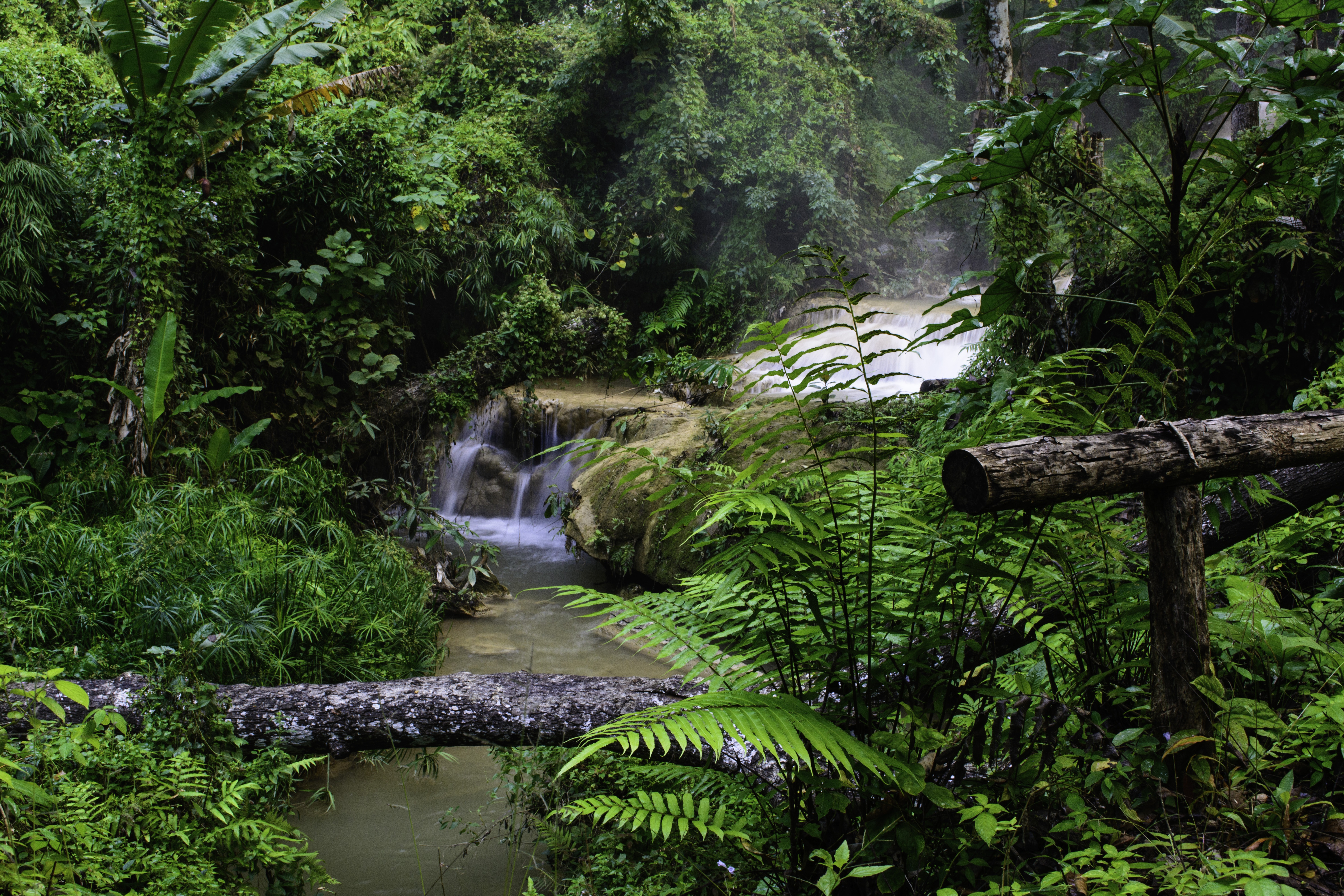 forest-waterfall-3098200