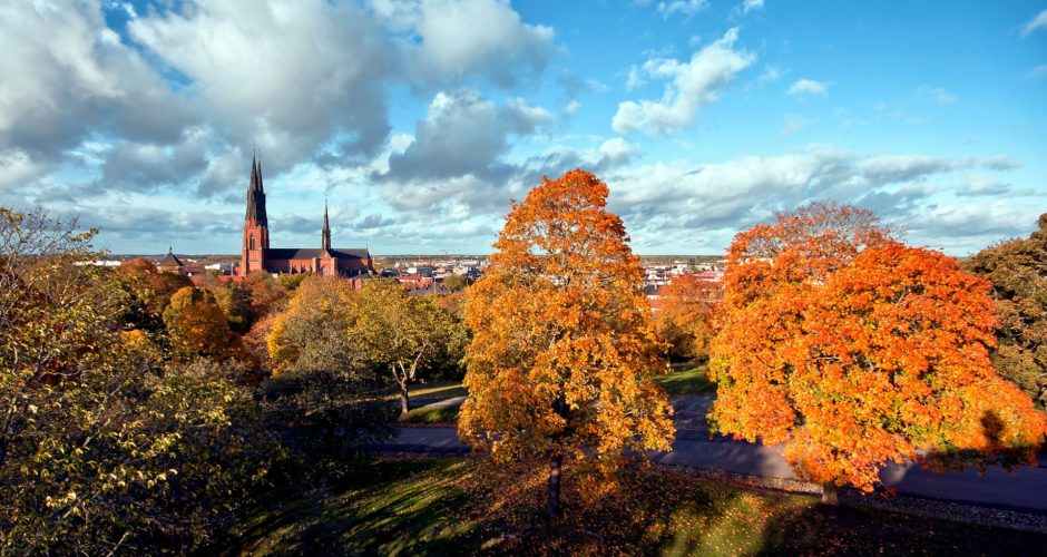 uppsala-107285_1920