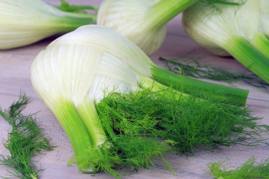 fennel-5413705_1920