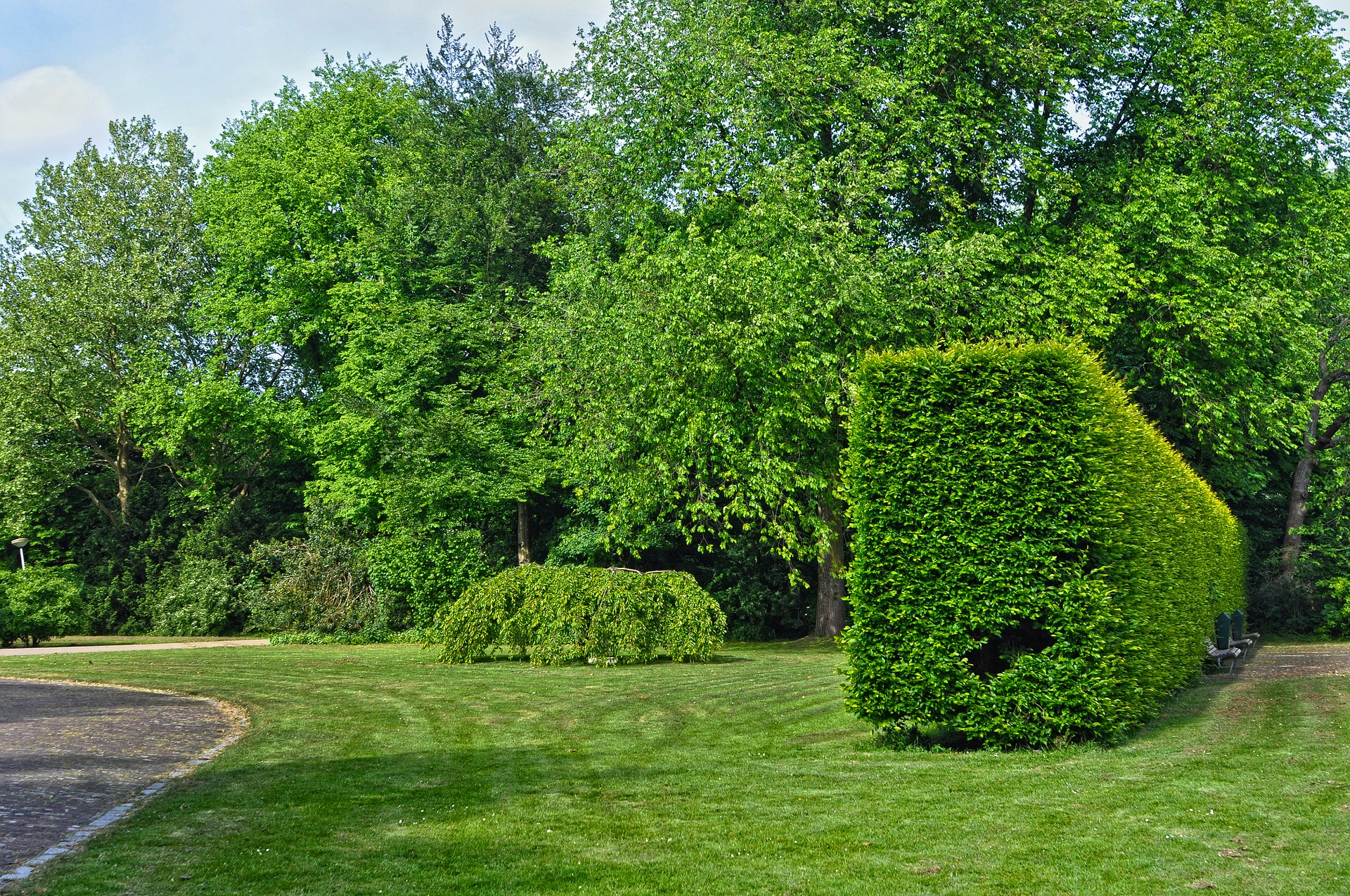 urban-park-3410146_1920