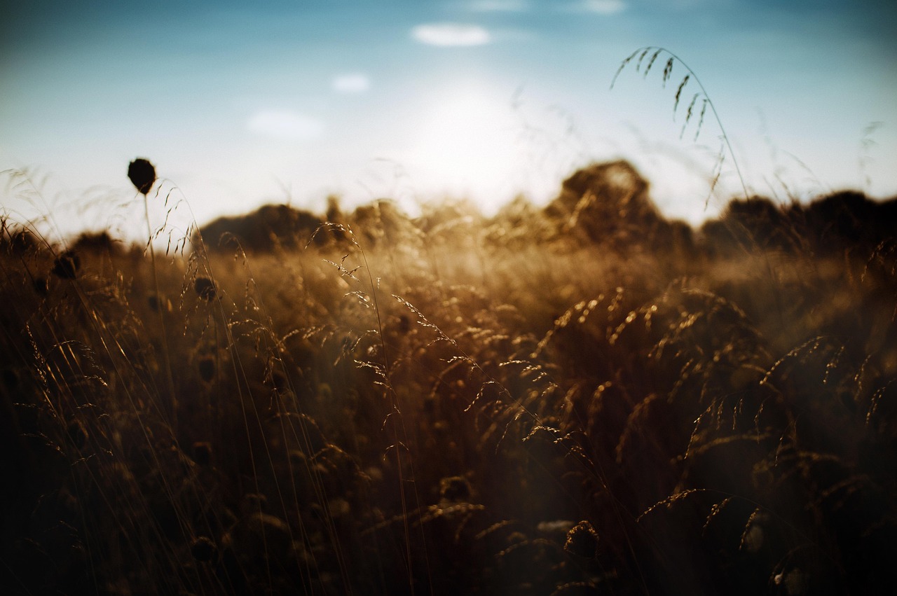 0825_natur