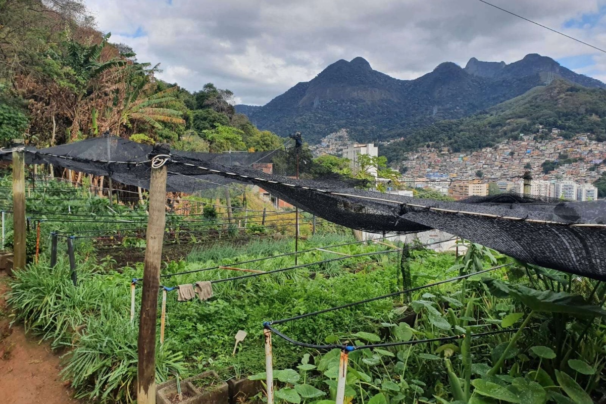 2512_kollektivodling