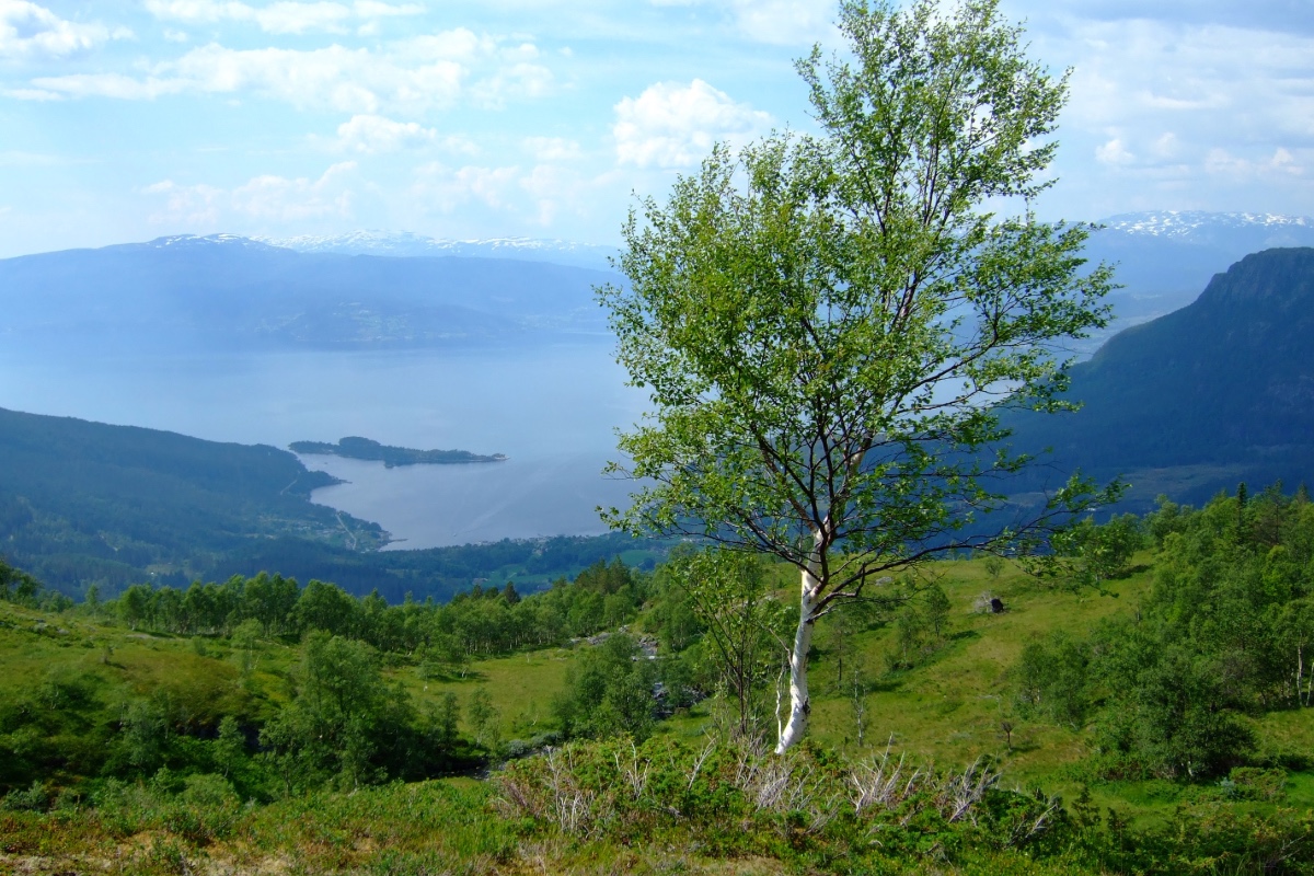 2808_fj&auml;ll